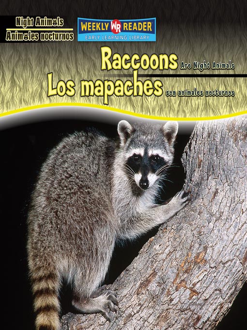 Cover image for Raccoons Are Night Animals/Los mapaches son animales nocturnos